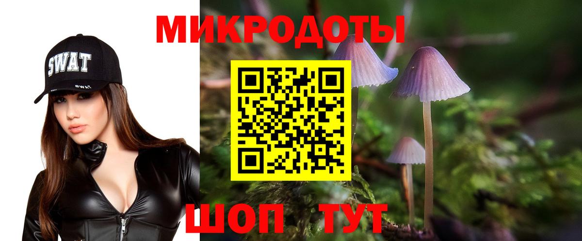 Галлюциногенные грибы Psilocybe  Вход с VPN  Знаменск 