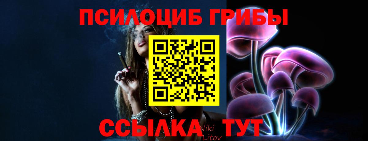 Галлюциногенные грибы Psilocybe Знаменск